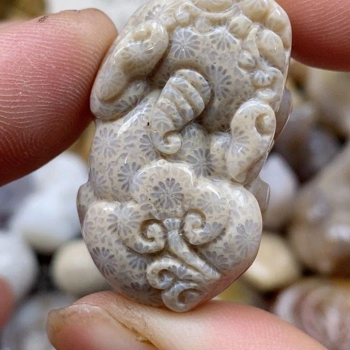 颈饰未镶嵌硅化珊瑚（珊瑚玉）