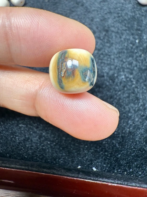 Y2753天然猛犸牙蓝皮蓝眼睛老型单颗12x11