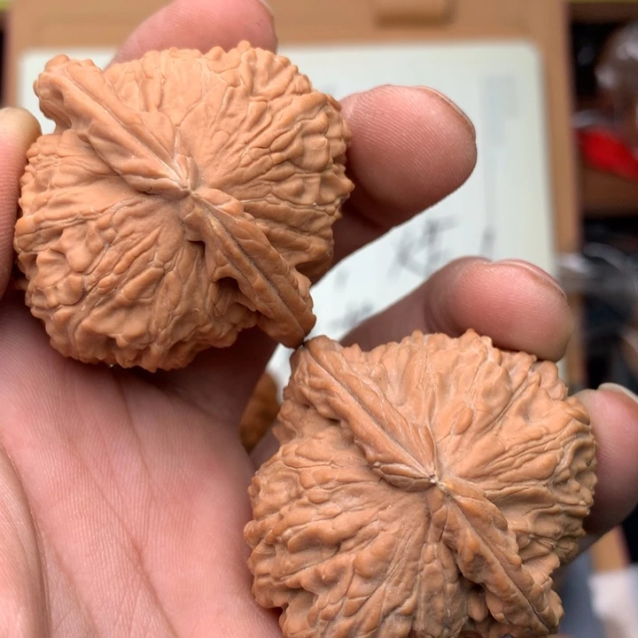 文玩核桃吊坠楚*白狮子46尺