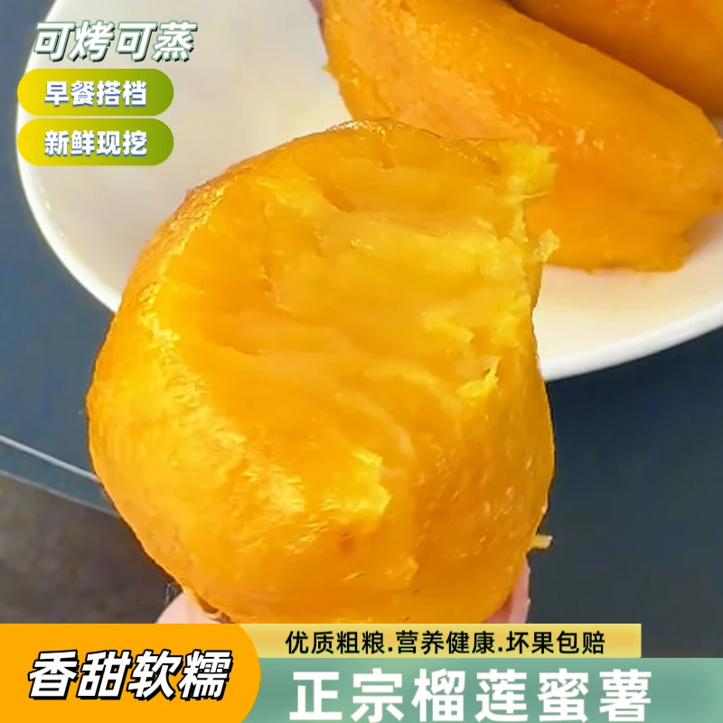 【正宗云南榴莲蜜薯】金瑶蜜薯口感细腻丝滑香甜蒸煮烤金时红薯