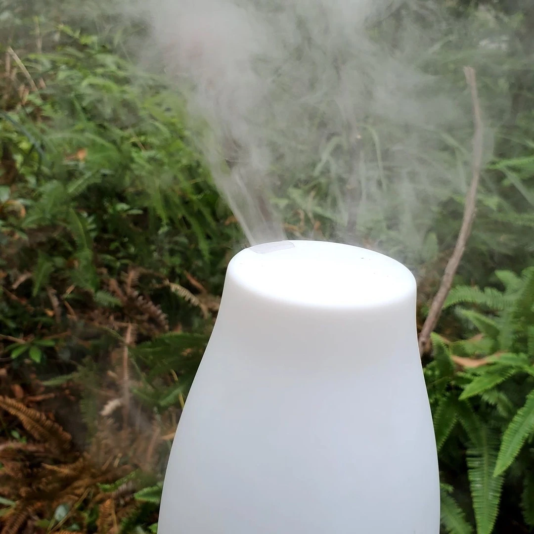 USB超声波大雾化诱蜂用喷雾加湿器100ml容量