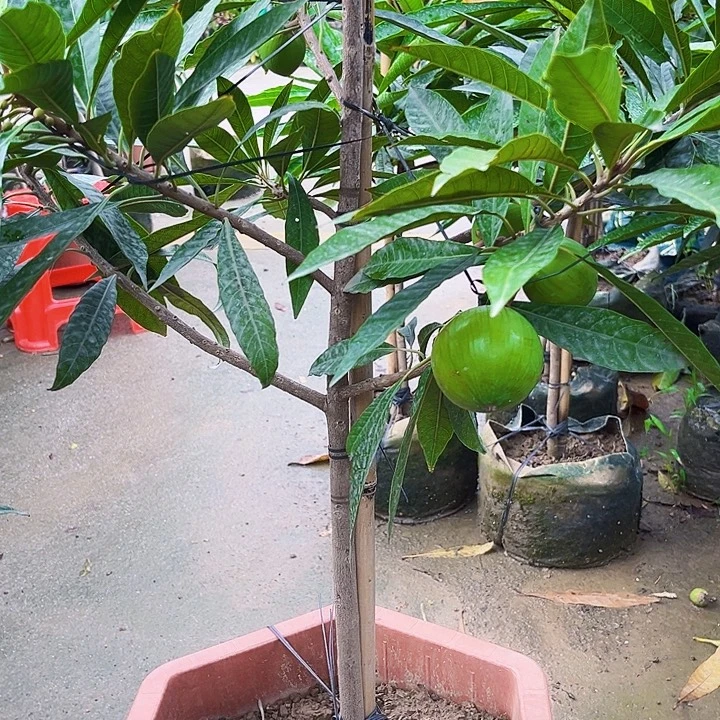 牛***吃完全开放11111111111111111111