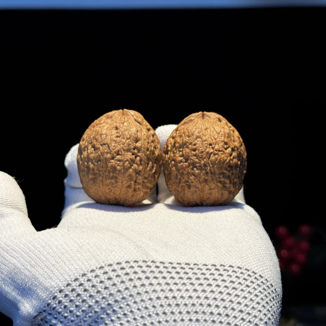 40尺寸玉龙珠云南铁核桃