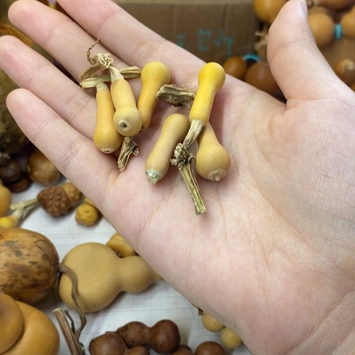 6杆子葫芦葫芦葫芦葫芦葫芦