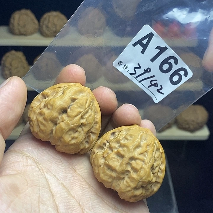 核桃A166sss级蛤蟆头