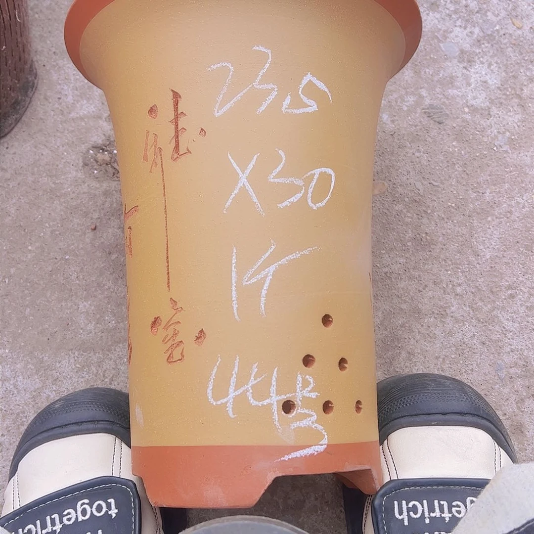 紫砂44…………………………