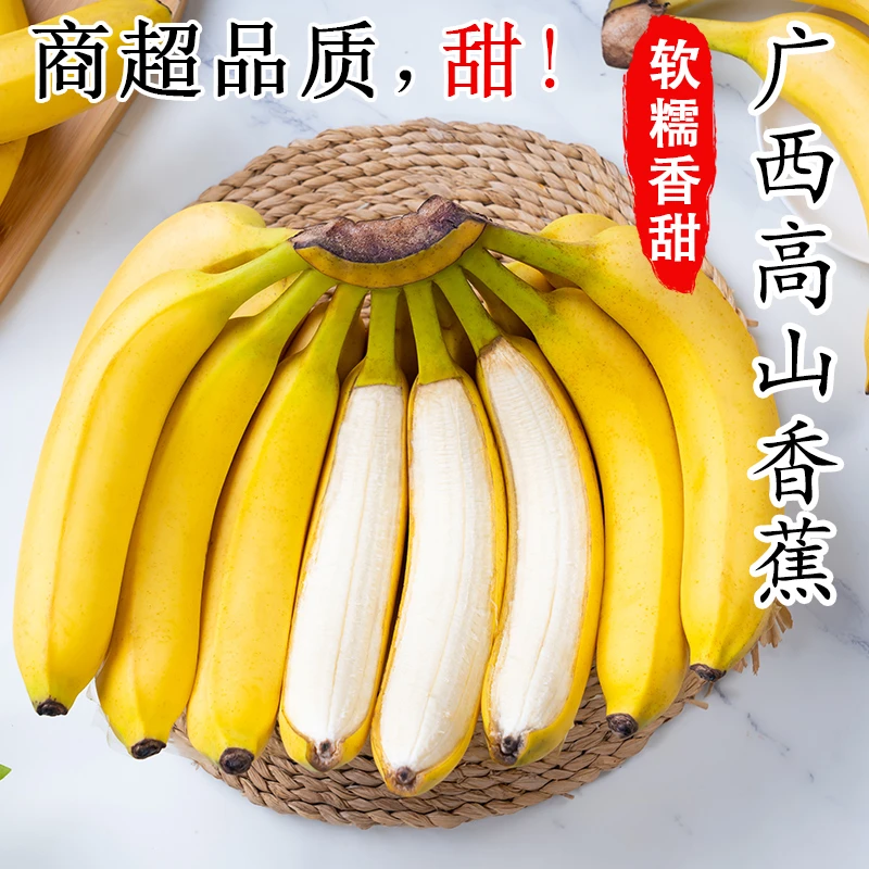 广西高山甜香蕉正宗产地直发当季新鲜热卖水果香甜软糯芭蕉包邮