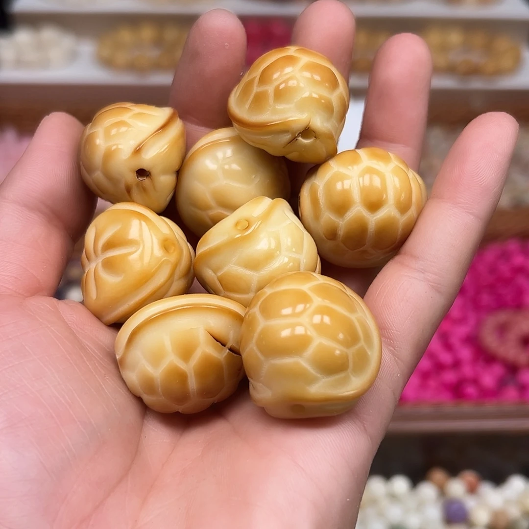 菩提根/象牙果手串5颗瑕疵富甲大尺寸