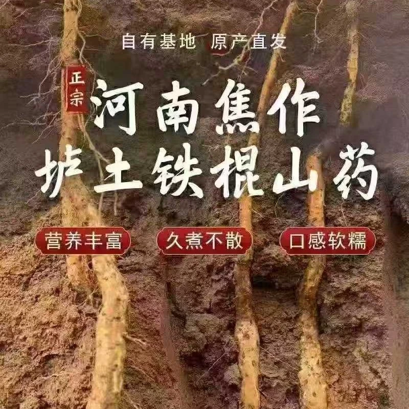 正宗铁棍山药软糯香甜营养健康多规格可选