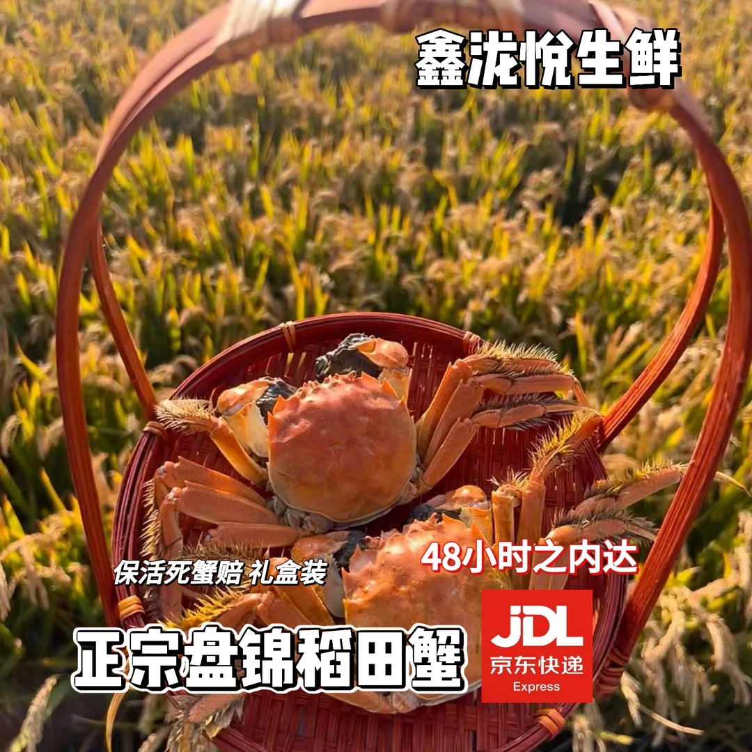 【盘锦正宗稻田蟹】全母蟹1.1-1.3两左右 保肥保活 死蟹包赔 三斤