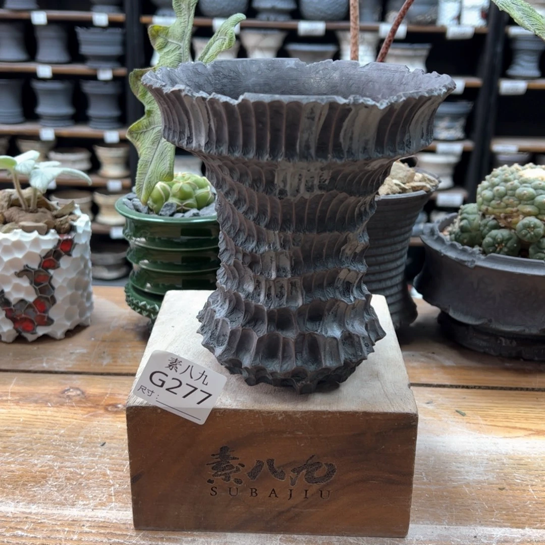 素八九陶瓷内口14.5高16瑕疵