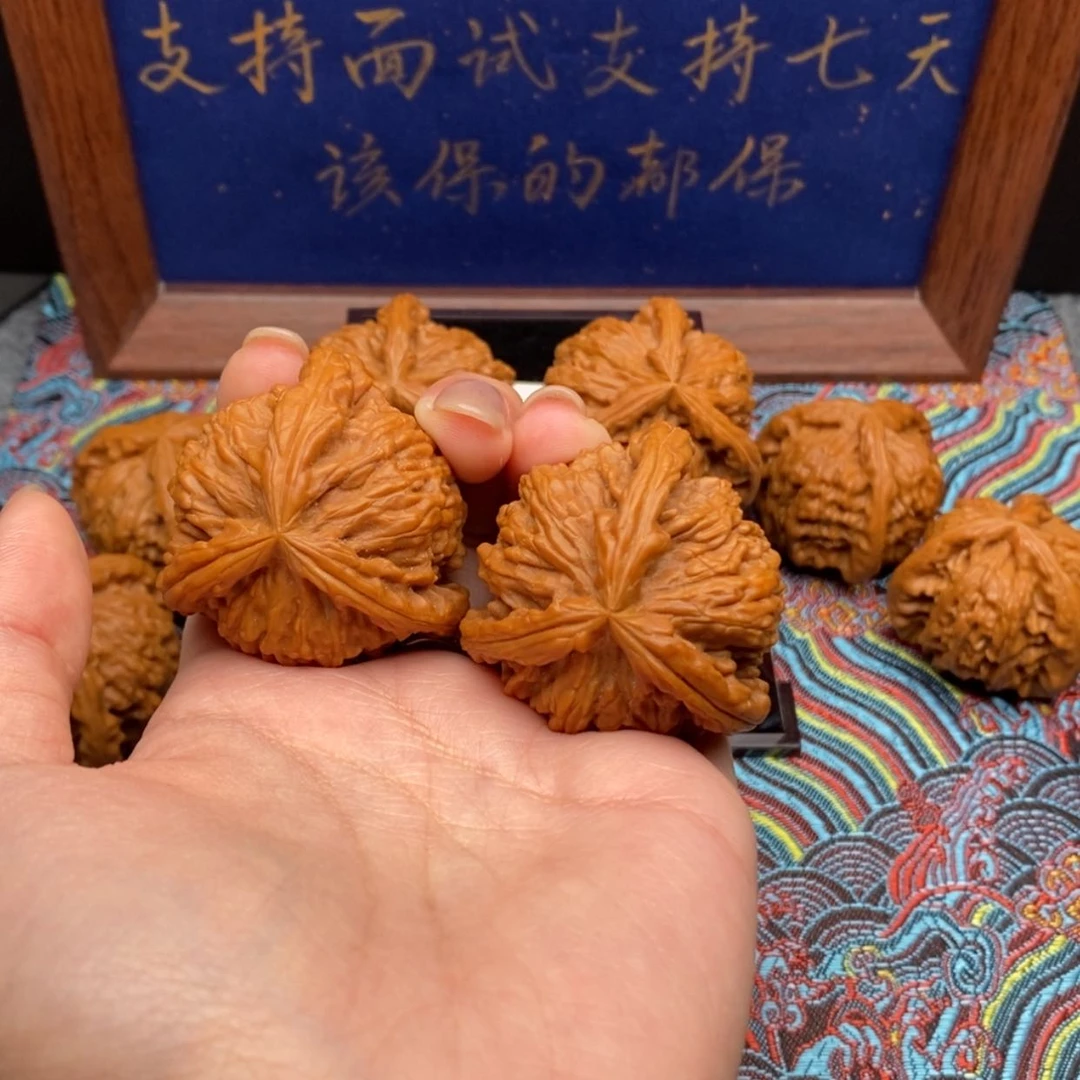 【闪购商品】刘*白狮