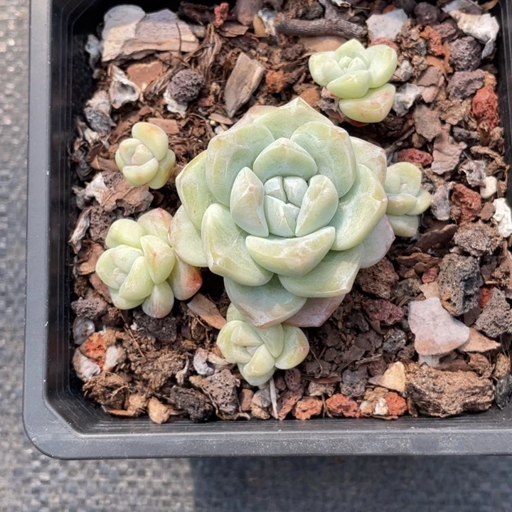 Ｌｙ点点滴滴点点滴滴