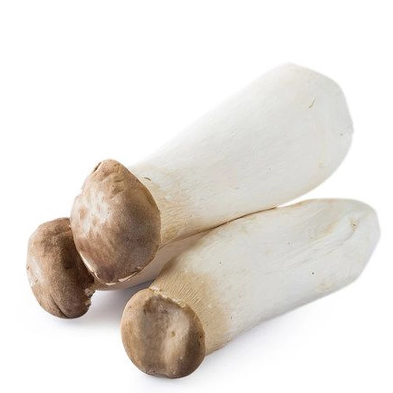 鲜杏鲍菇500g±20g /份杏鲍菇