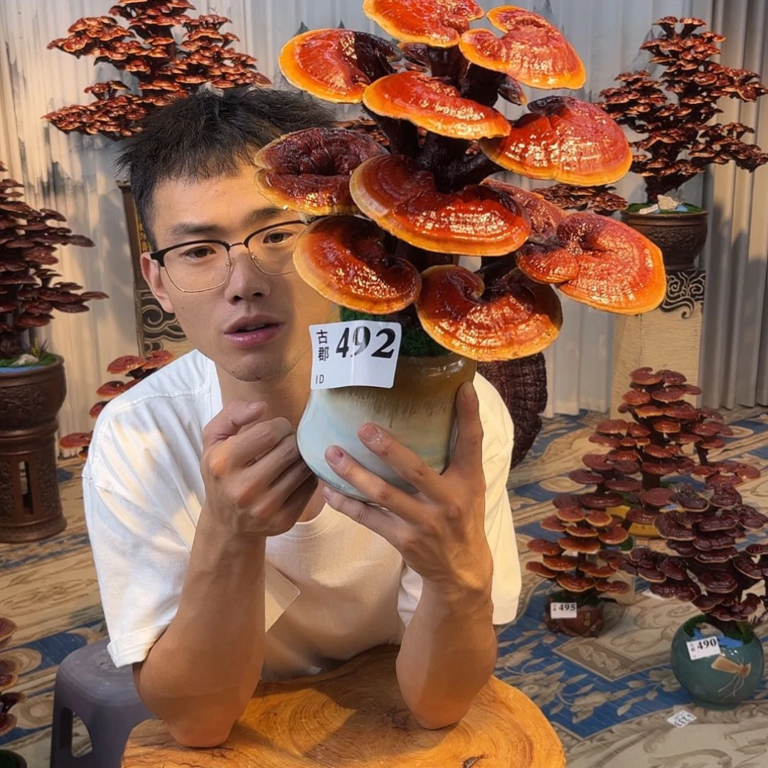 无花朵888888888888888