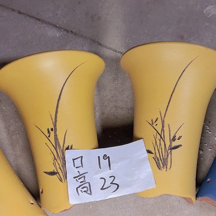 周深周深周深周深周深