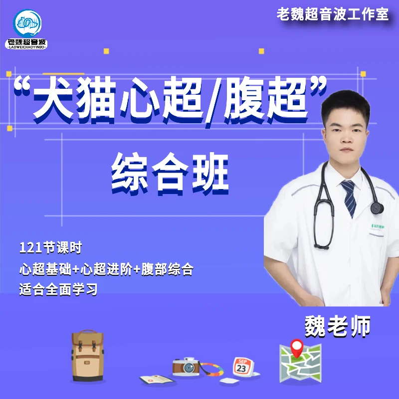 犬猫心腹超综合班