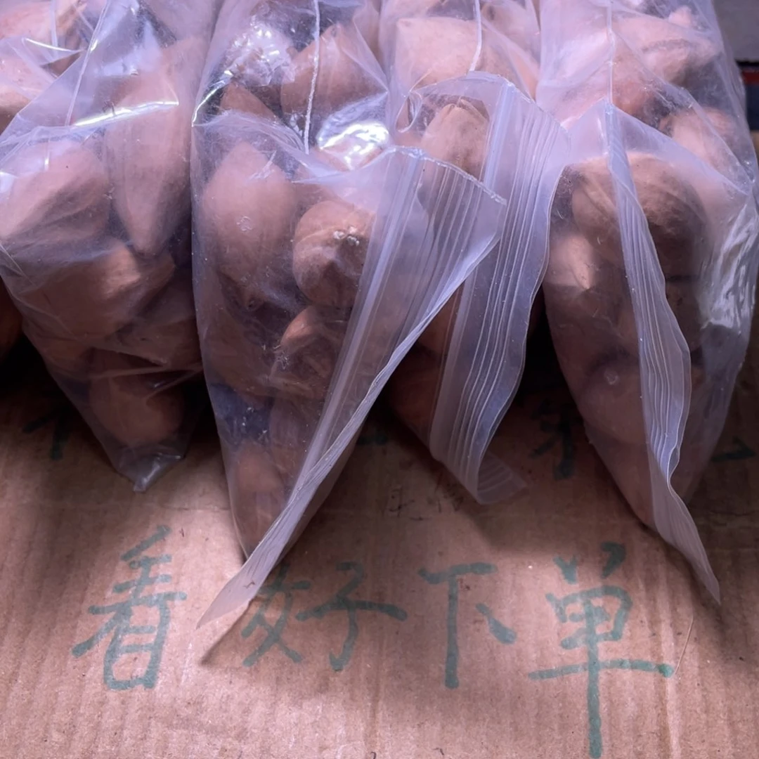 峡***哥橄榄核吊坠不退不换qeryyuo