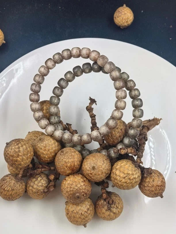 87星月菩提石玉料冰透手串