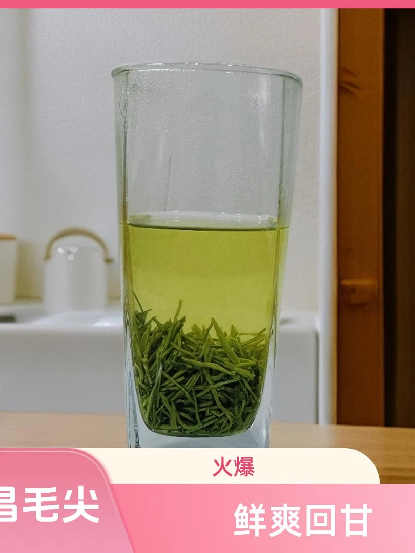 三叶堂 2025年宜昌五峰毛尖 （2号）  明前采摘鲜嫰芽头，栗香型十足