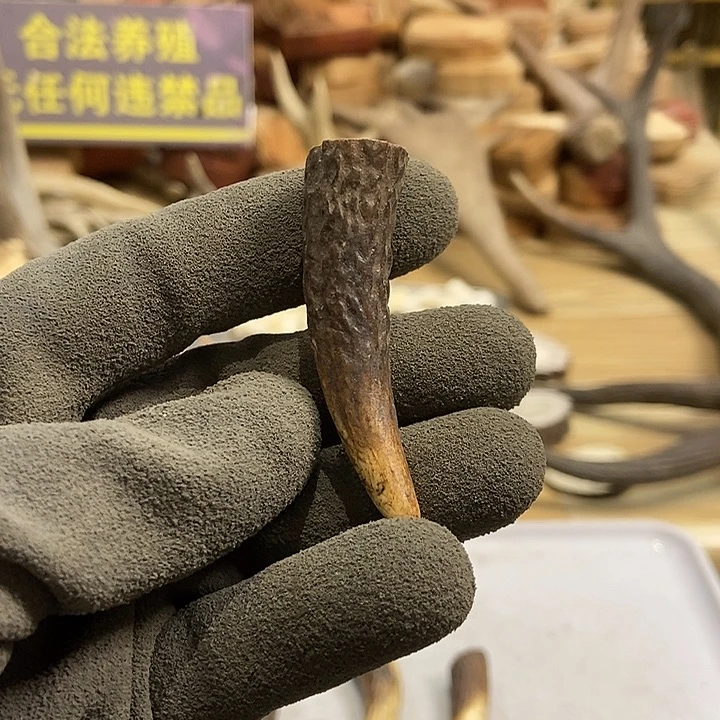 明***阳大叶紫檀（黑酸枝木类）手把件