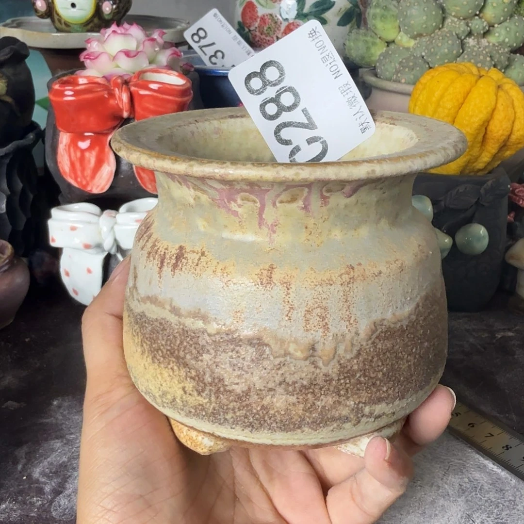 重庆小燕子欢迎大家288