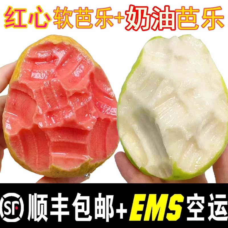 【顺丰包邮】正宗广西心软芭乐3/5斤水果软糯香甜白心奶油番石榴