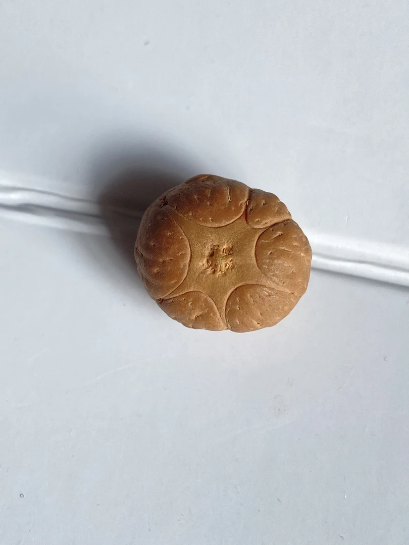 尼泊尔六星凤眼菩提单颗 尺寸18mm、厚度13mm