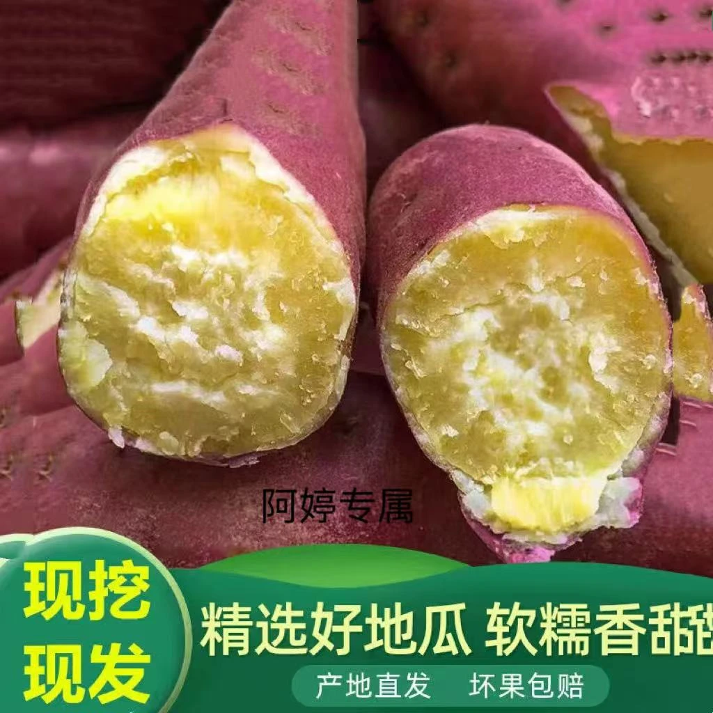 【阿婷专属】板栗红薯 新鲜红薯 粉糯香甜
