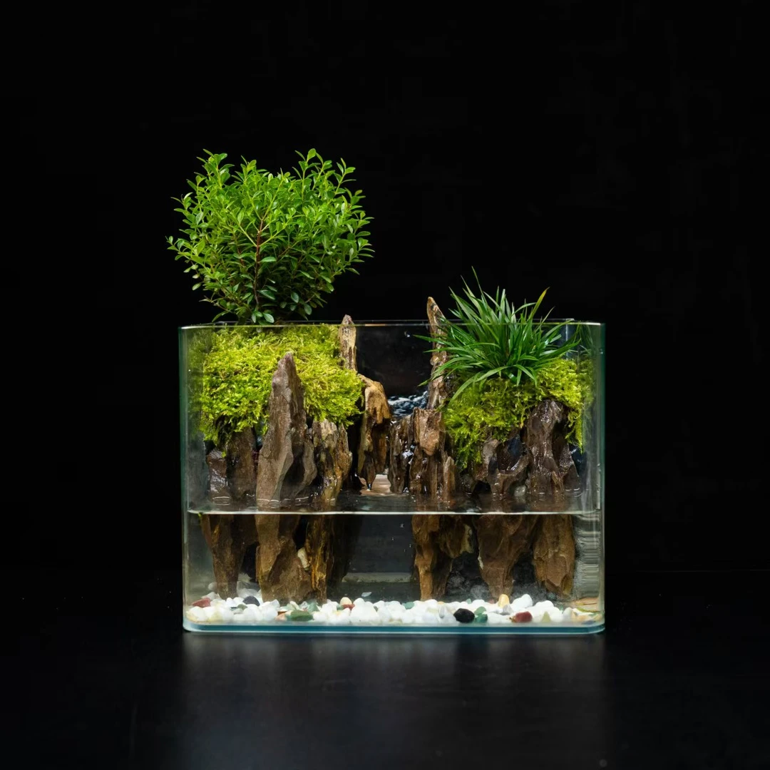 松皮石-尺寸长25宽16高18cm成品创意桌面绿植客厅鱼缸水陆缸黄杨