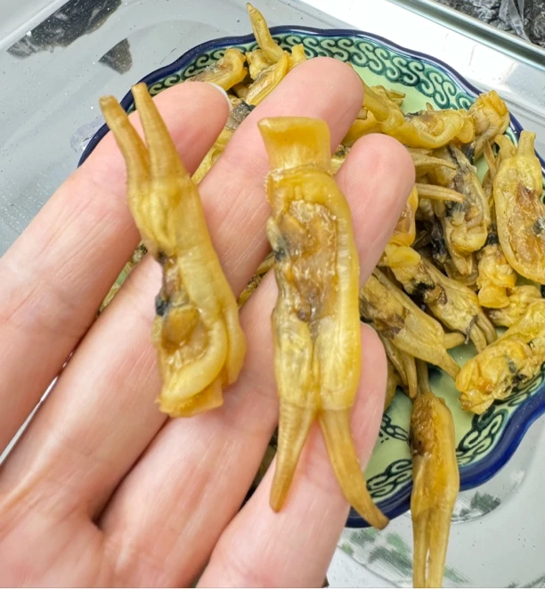 霞浦特产霞浦本地野生蛏干干货无沙鲜蛏干子250克/500克