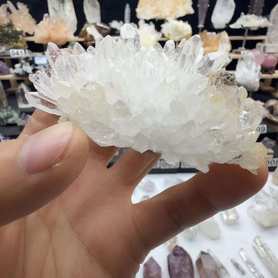 石材金口河菊花晶