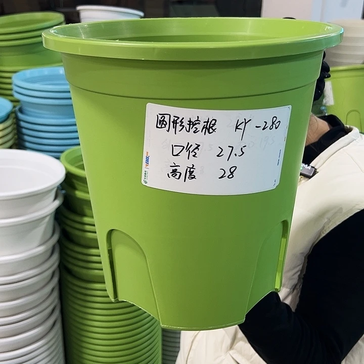 正品圆控口27.5高28果绿无托5只