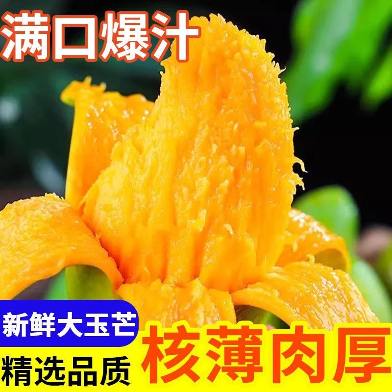 【催熟食用】新鲜玉芒大果净重8斤现摘新鲜水果香甜多汁