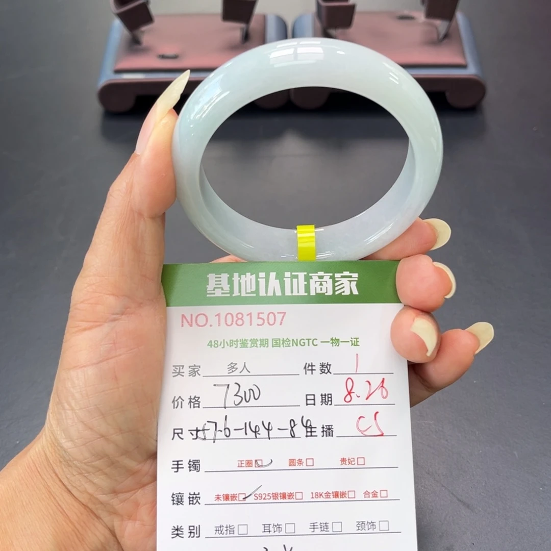 未镶嵌手镯翡翠多人