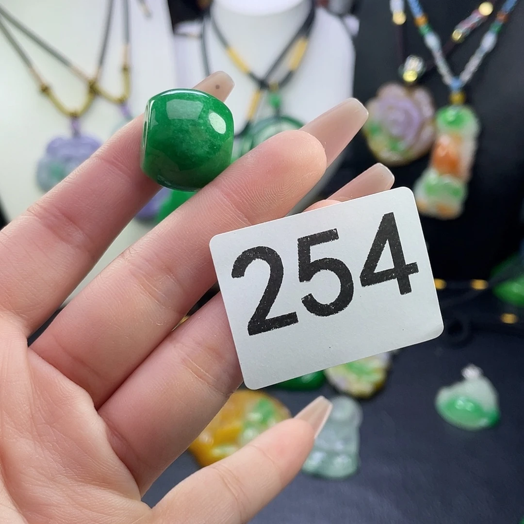 翡翠未镶嵌吊坠(赠链)