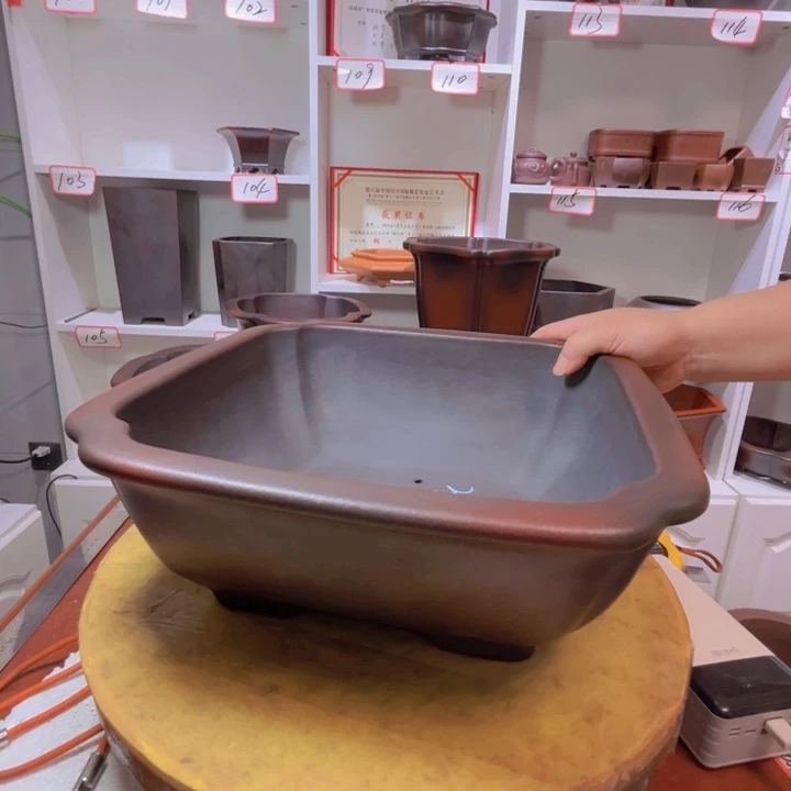 紫砂花盆老*111111111111