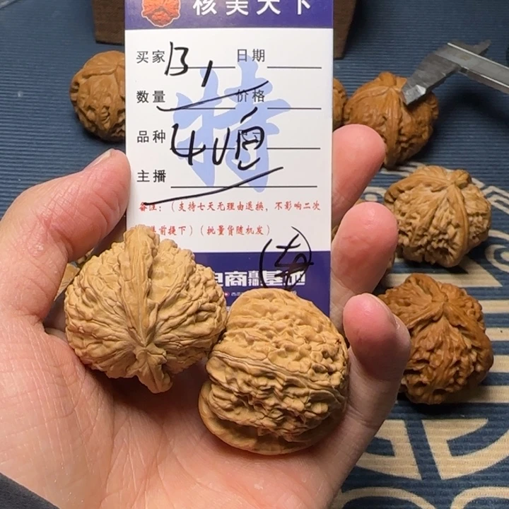 白狮子等动物的化石