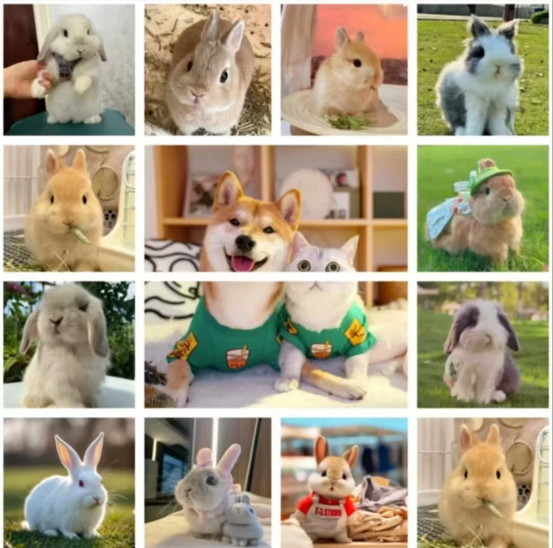 宠物家庭相簿定制宠物本6寸大容量收纳本影集情侣5寸78宠物成长