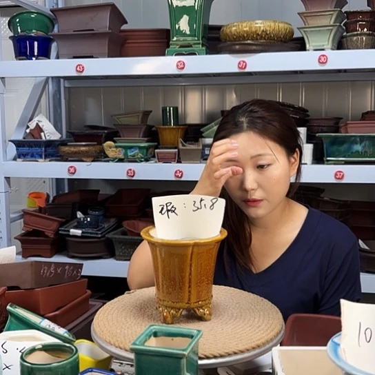 紫砂花盆宜兴紫荆