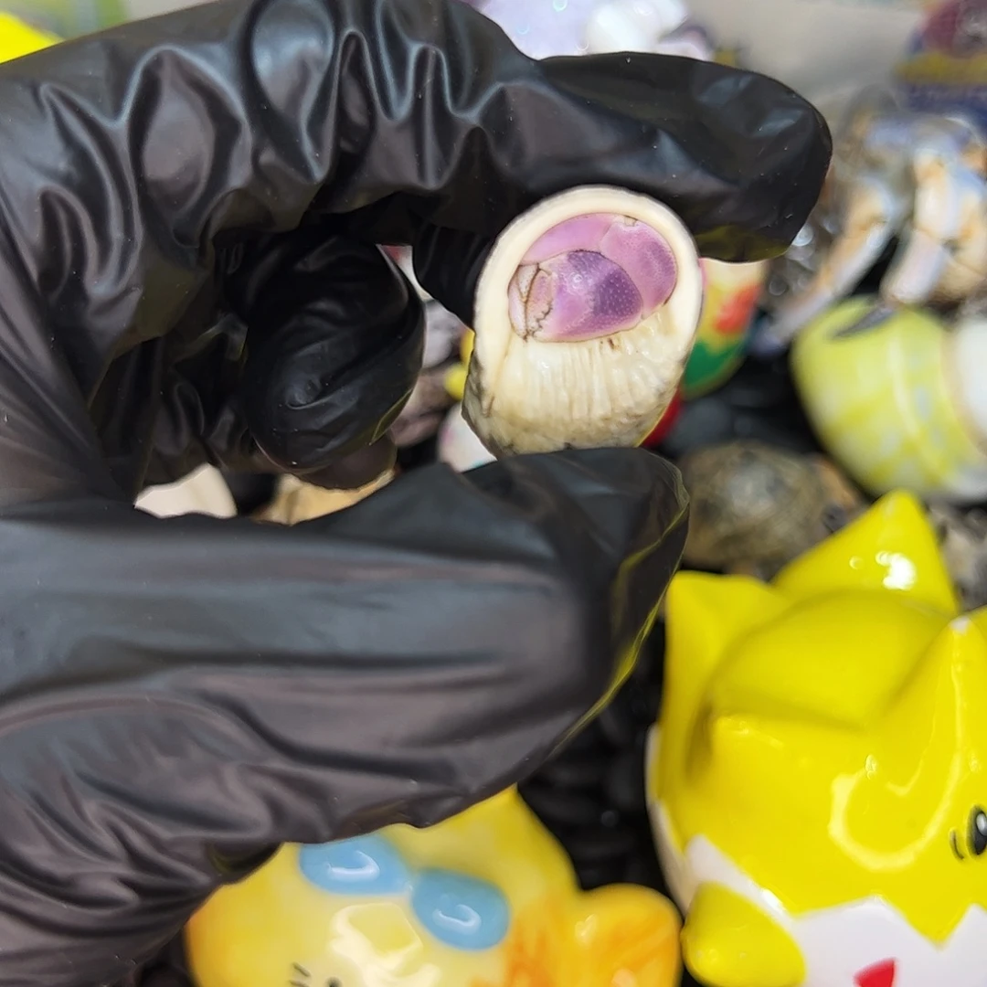 海盐宝专拍18.9➕10➕25➕5加热包