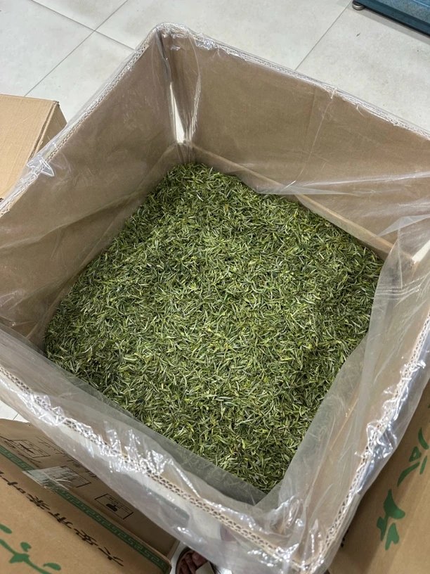 2025年新茶 纯手工霍山黄芽 / 大化坪 235