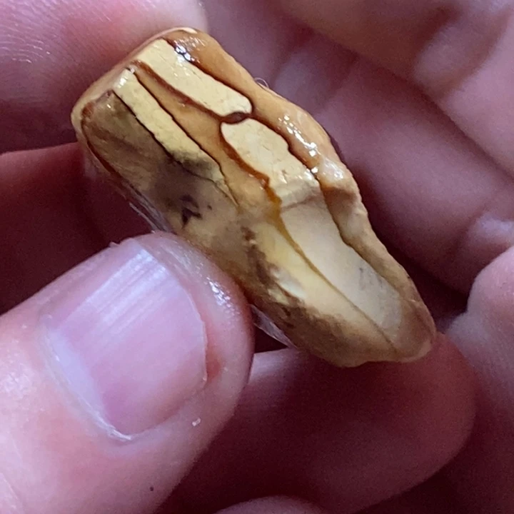 未镶嵌定制琥珀格**爸