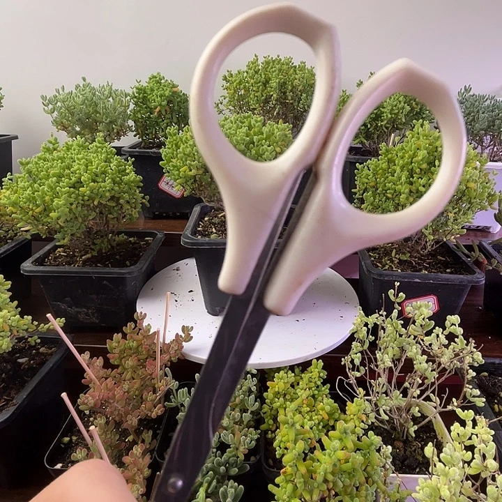 保温箱链接非多肉。