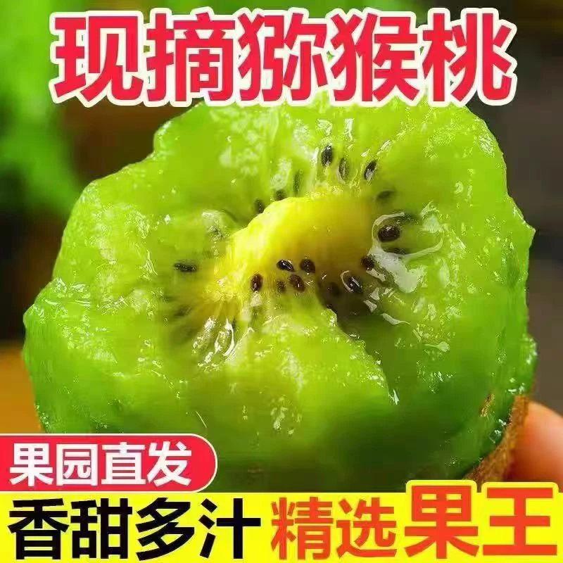 c绿心猕猴桃新鲜现摘现发