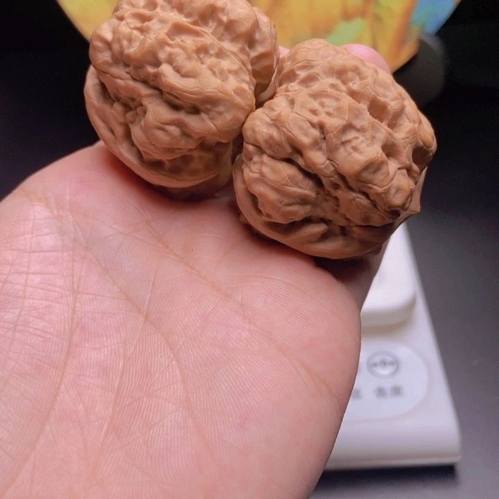 核桃43.45肌肉蹬腿