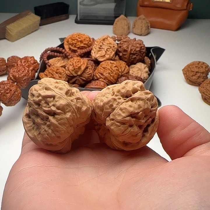 36-38-31蟾型好C13号