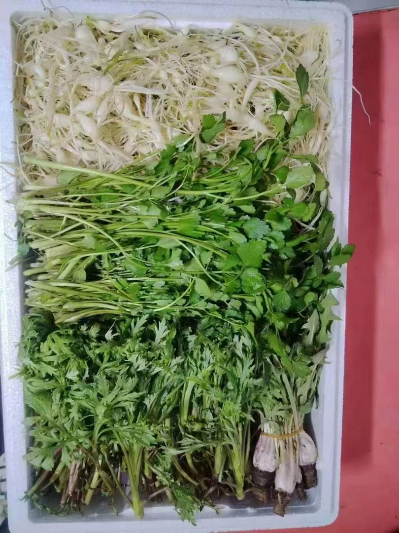 新鲜山野菜四拼每样半斤