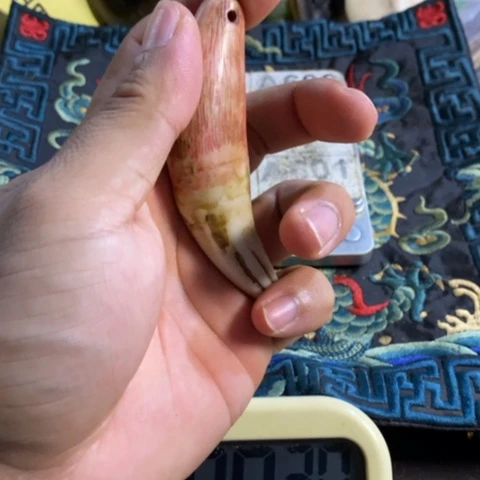 大哥专拍链接一号