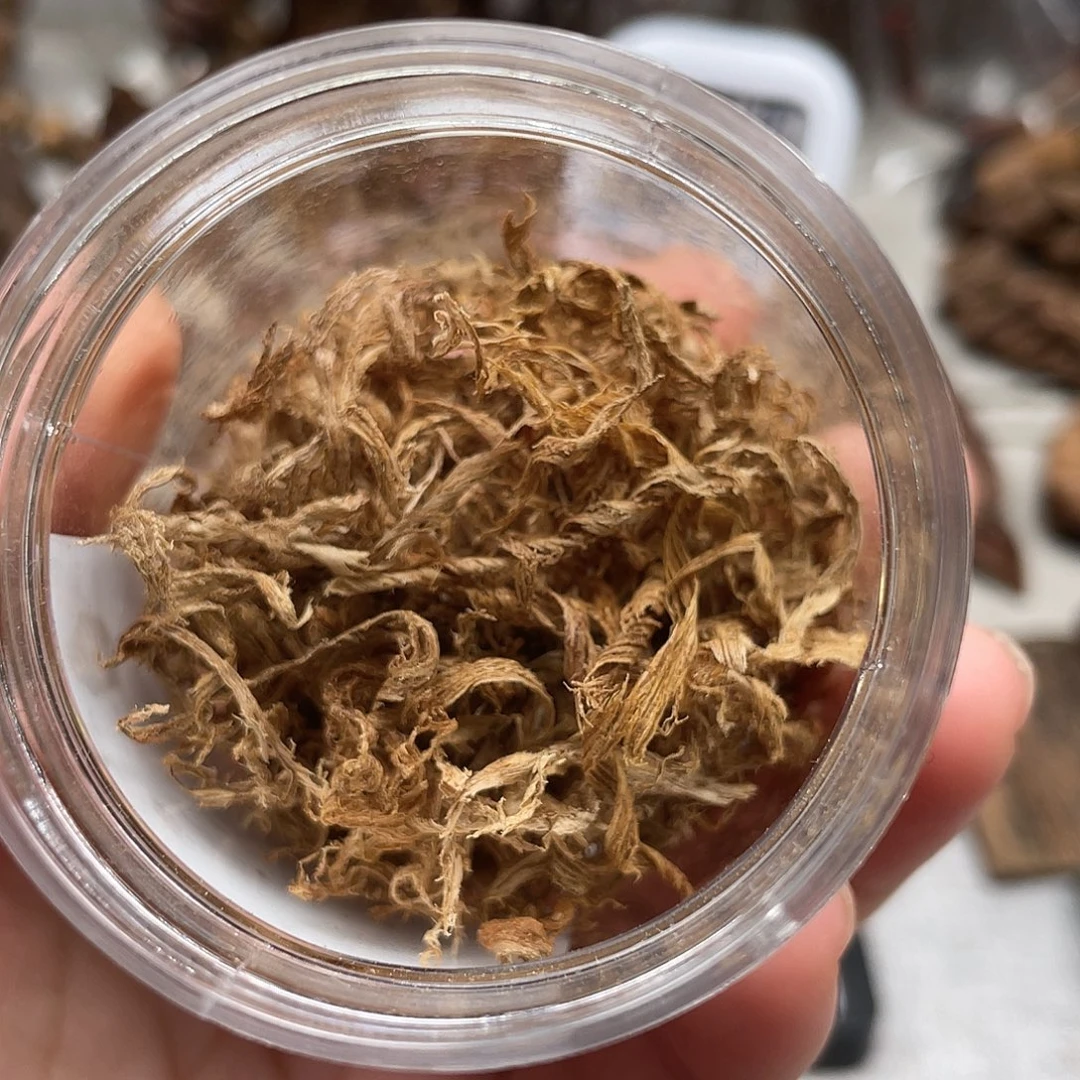 沉香沉香碎屑芽庄勾丝2克